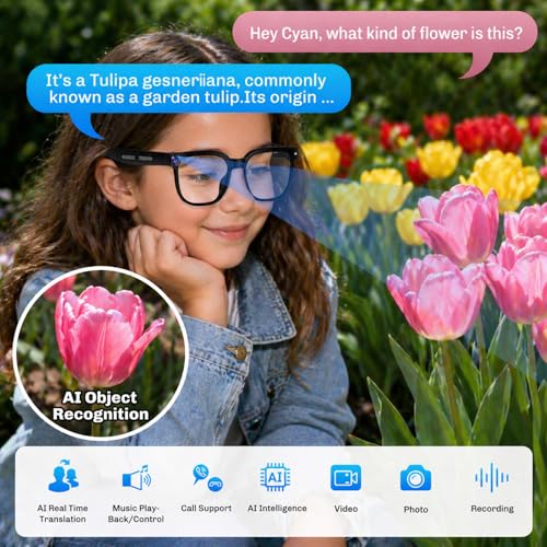 Plunthorn AI Smart Glasses – 4K Camera, Translation & AI Assistant